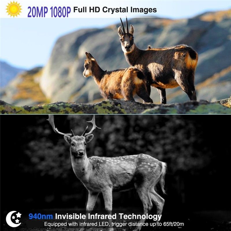 Upptäck HC801M jaktkamera med 20MP och 1080P nattvision för djurobservation mobilanslutning och 42 IR-LEDs