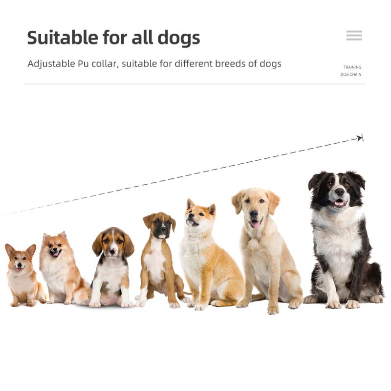 Upptäck 800m Hundträningshalsband IP7 Vattentät Fjärrkontroll Justerbara Nivåer Träningslägen Hundträning