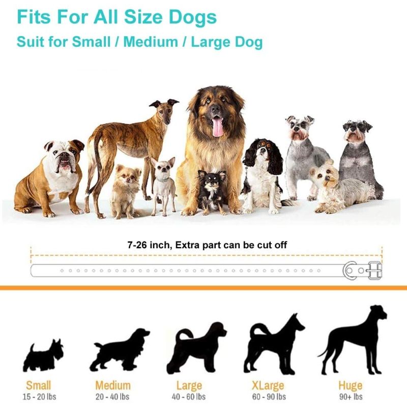 Upptäck effektiv husdjursträning med vårt 800 m elektroniska hundträningshalsband för små medelstora hundar