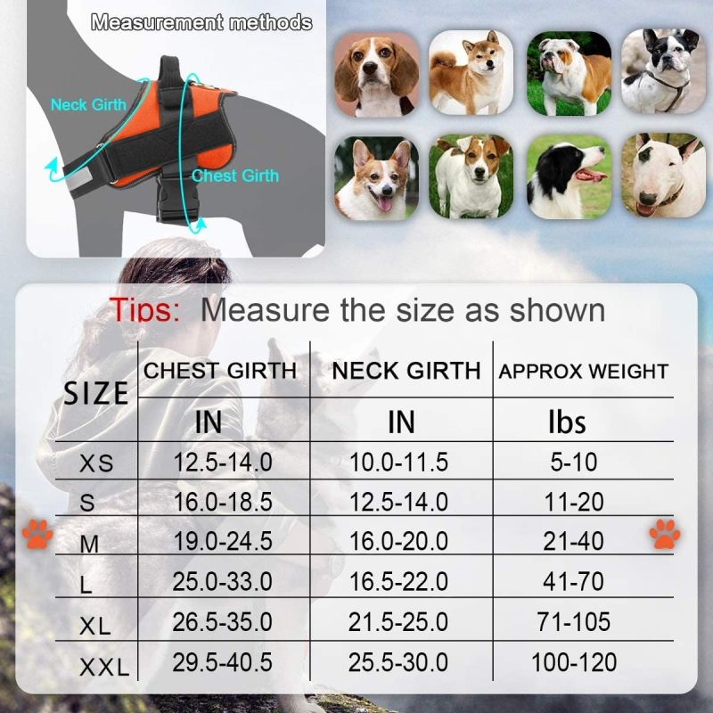Justerbar andningsbar hundsele med reflekterande väst perfekt för kvällssäkerhet passar Engelska Bulldogs
