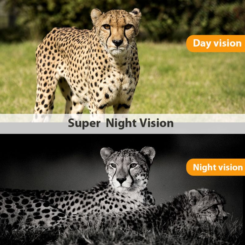 Upptäck HC801M jaktkamera med 20MP och 1080P nattvision för djurobservation mobilanslutning och 42 IR-LEDs