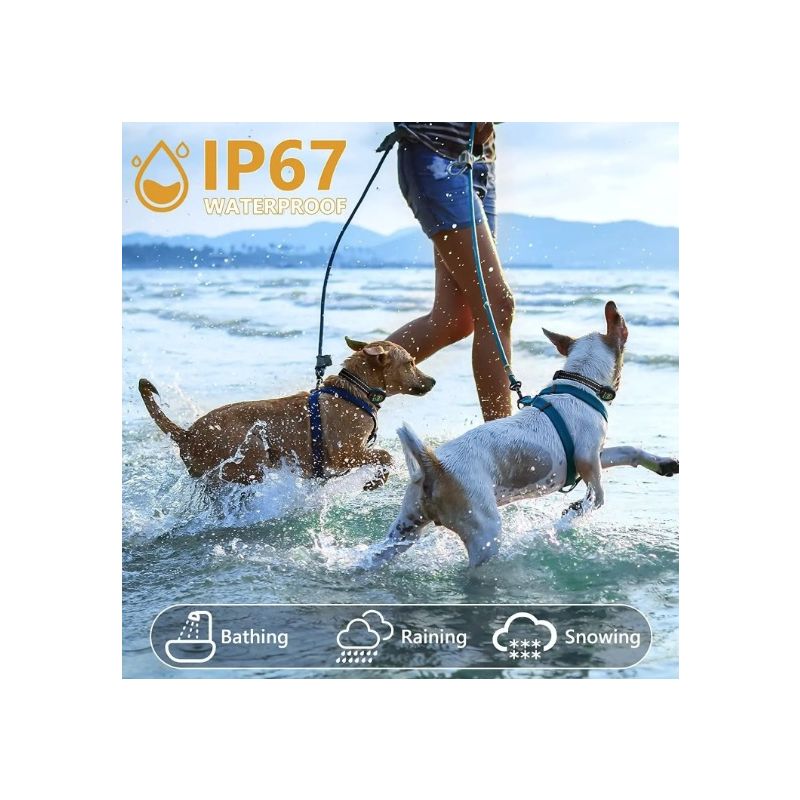 Upptäck Smart Automatisk Anti Skällande Hundhalsband med Intelligent Skällandeigenkänning och Bekväm Hundträning