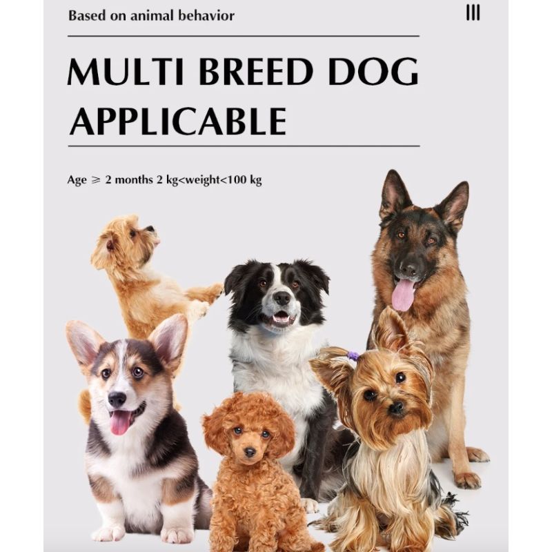 Trådlöst elektroniskt hundstängselsystem och fjärrträningshalsband för säker hundträning och husdjursgränser
