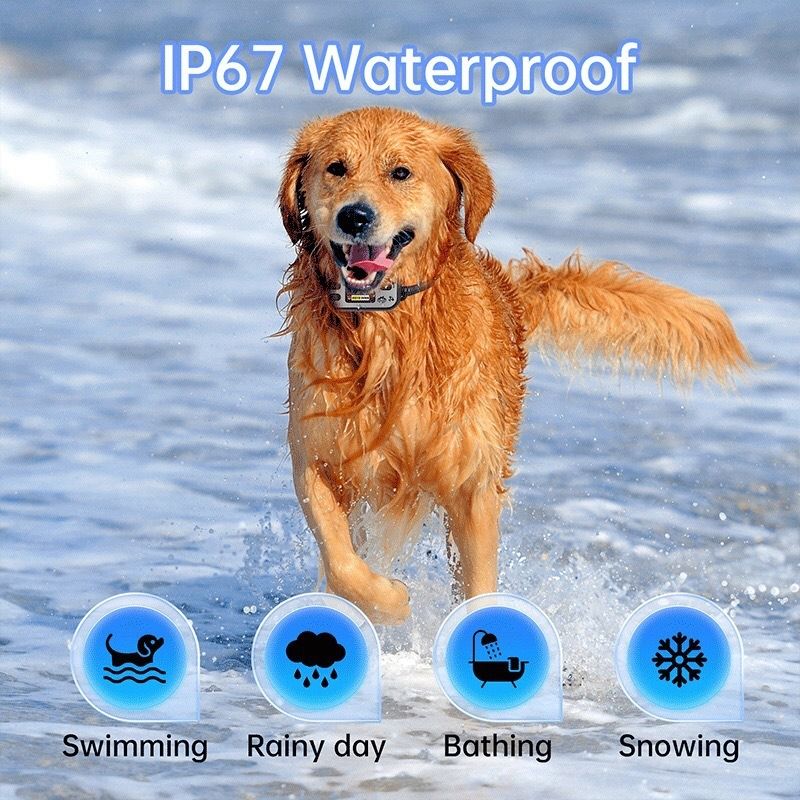 GPS hundstängsel, Antiskallhalsband & Uppladdningsbart hundhalsband. Vattentätt för hundar 7-54 kg.