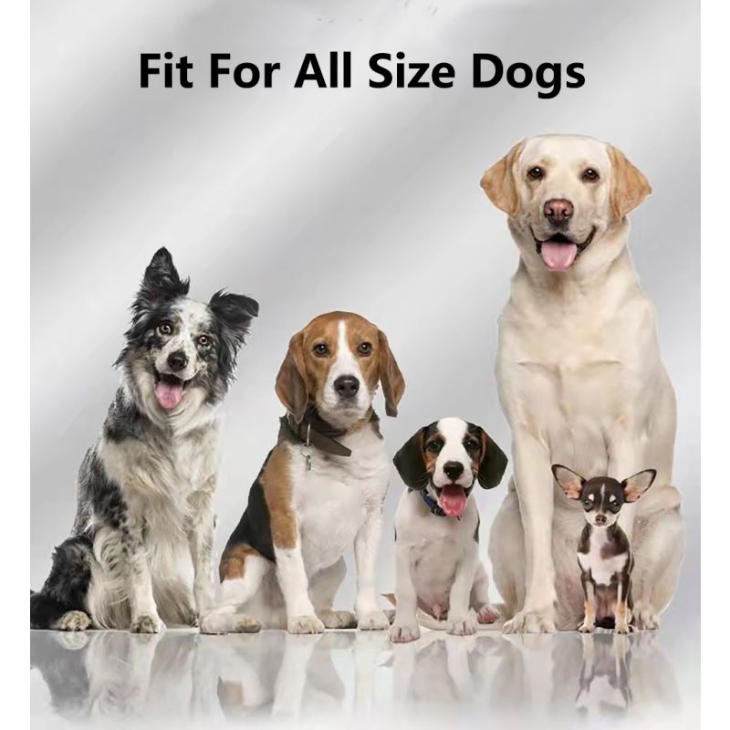 GPS Trådlöst Hundstängsel Elektroniskt Stängselsystem Vattentätt Hundträningshalsband Enkel Installation