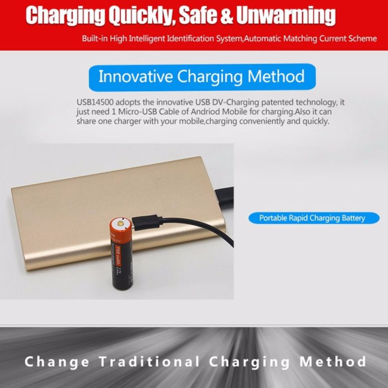 Doublepow 14500 batteri 750mAh USB-uppladdningsbart 3.7V Li-ion för elektroniska enheter och ficklampor LED