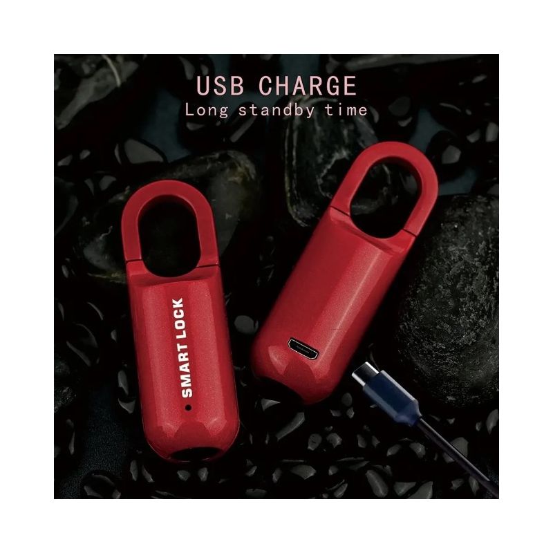 Mini Fingeravtryckshänglås USB-nyckellöst lås Snabb upplåsning Lätt design för resesäkerhet och biometrisk trygghet