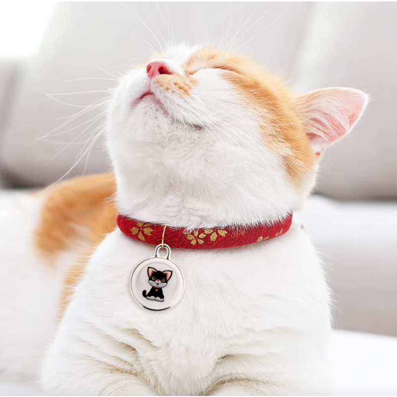 Hundspårare Airtag Hundhalsband med GPS Tracker för Hundar Bluetooth Spårning Innovativ Husdjursteknik