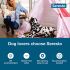 Seresto Large Dog Vet-rekommenderad lopp- och fästingbehandling och förebyggande halsband 8 månaders skydd