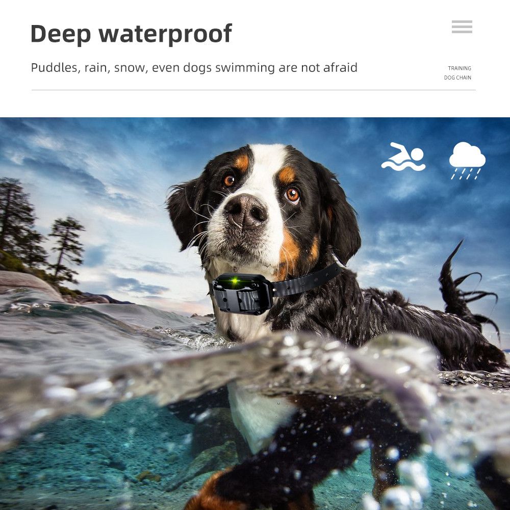 Upptäck 800m Hundträningshalsband IP7 Vattentät Fjärrkontroll Justerbara Nivåer Träningslägen Hundträning