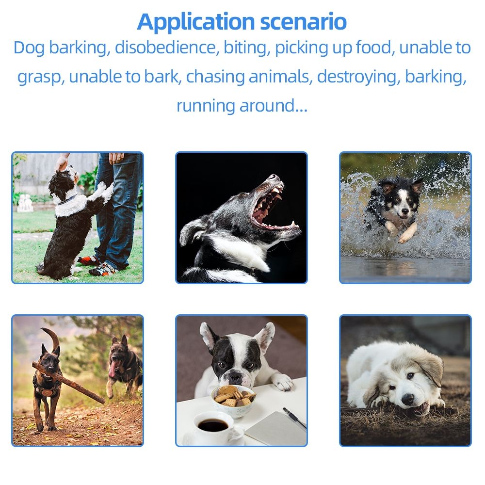 Upptäck 2021 Elektrisk Hundträningshalsband med 500m Fjärrkontroll Vattentätt Justerbart för Hundlydnadsträning