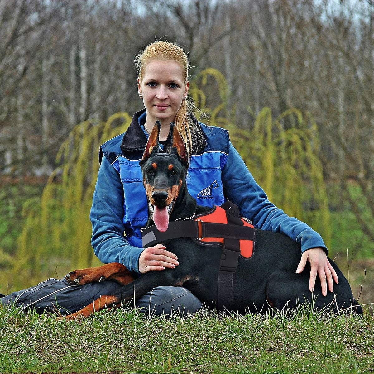 Dragfri reflekterande hundväst med handtag och justerbar sele för medelstora raser – bekväm promenadutrustning