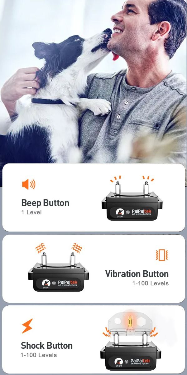 Utforska 1000m Elektriskt Hundträningshalsband med Smart Fjärrkontroll och Justerbara Träningslägen hållbart och mångsidigt