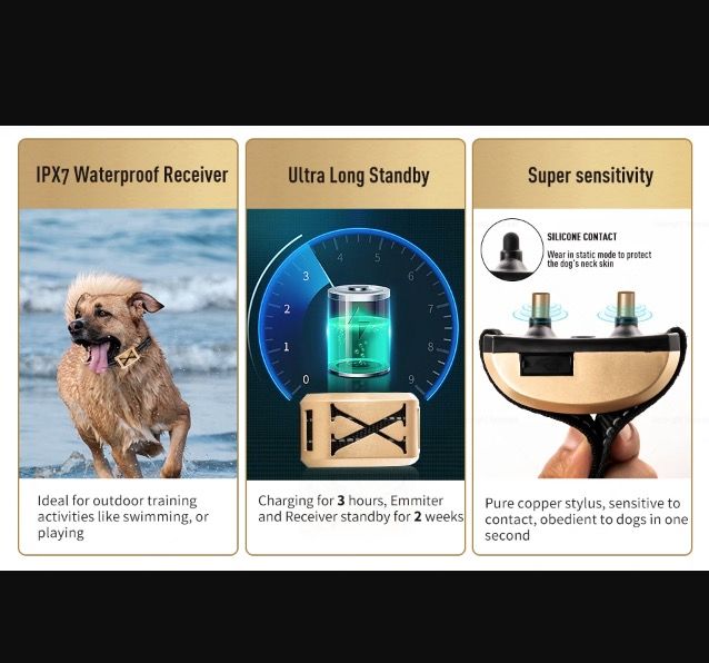 Innovativa 2-i-1 trådlöst hundstängsel och elektroniskt träningshalsband för husdjursäkerhet och träning