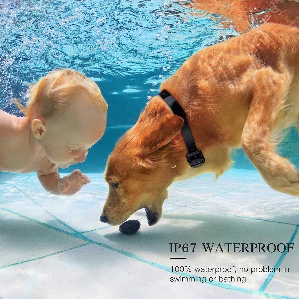 800m Elektrisk Hundträningshalsband Vattentät Hundhalsband med Hund Fjärrkontroll Justerbara Träningsnivåer