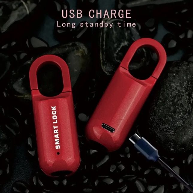 Mini Fingeravtryckshänglås USB-nyckellöst lås Snabb upplåsning Lätt design för resesäkerhet och biometrisk trygghet