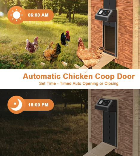 Automatisk Hönshusdörröppnare Elektrisk Kycklingdörr och Timer för Hönshus med Hållbar Konstruktion