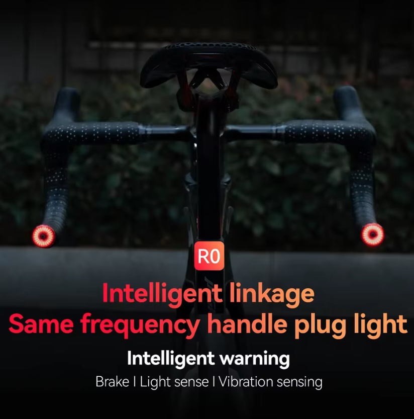 ROCKBROS R0 Styreändplugglampa: Kompakt Type-C Baklampa för MTB & Landsväg – Förbättrad Cykelsynlighet!