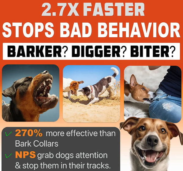 Pet Dog Repeller Uppladdningsbar Hundträningshjälp LED-ficklampa Smärtfri Hundträning för Djurägare