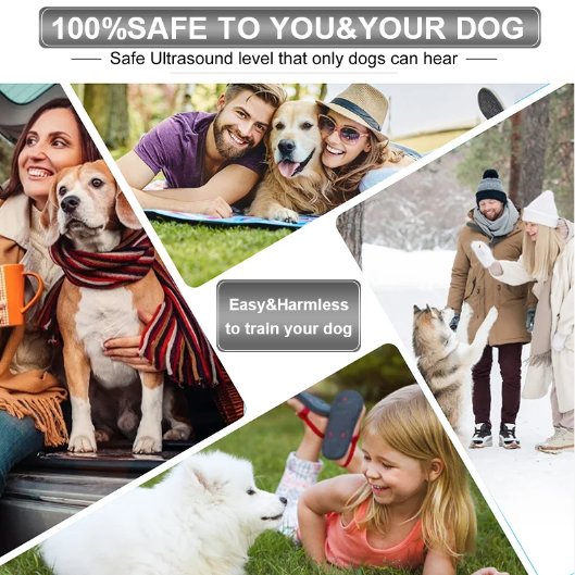 Ultraljudsavvisare för hundar med LED-ficklampa – bärbar anti-skällningslösning – human hundträningsapparat