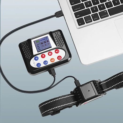 Trådlöst Elektroniskt Stängsel Smart Hundträningsenhet med Färgskärm 2-i-1 Anti-Skällande Elektrisk Stötkrage